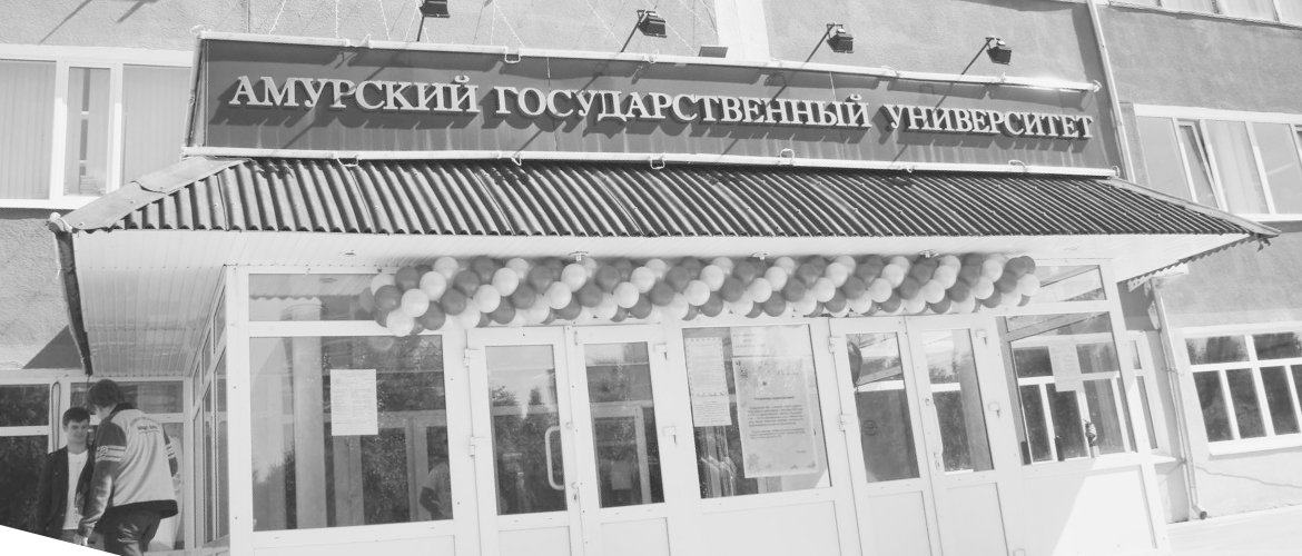 Amur State University