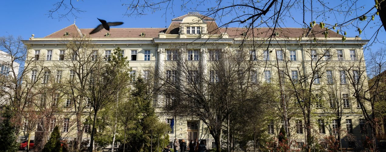 Victor Babeș University of Medicine and Pharmacy, Timișoara