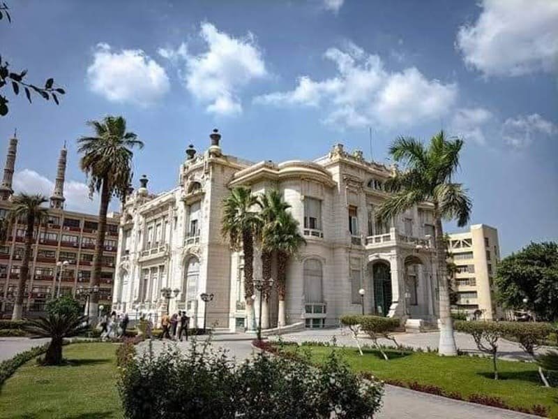 Ain Shams University