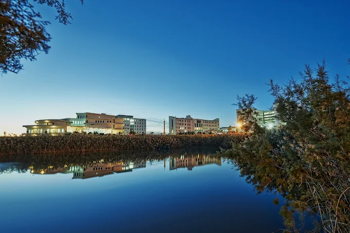 NEAR EAST UNIVERSITY