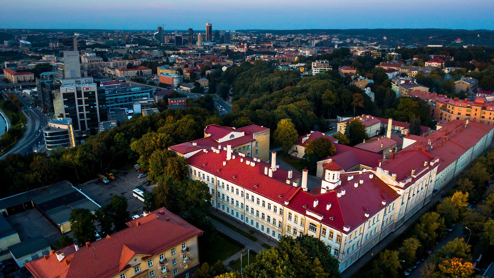 VILNIUS UNIVERSITY – FACULTY OF MEDICINE (Lithuania)