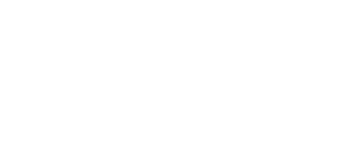 East European University (EEU)