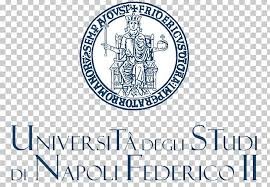 University of Naples